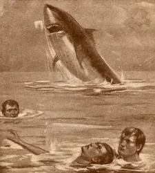 19th Century Illustration of a Man Rescuing a Swimmer with a Shark in the Background